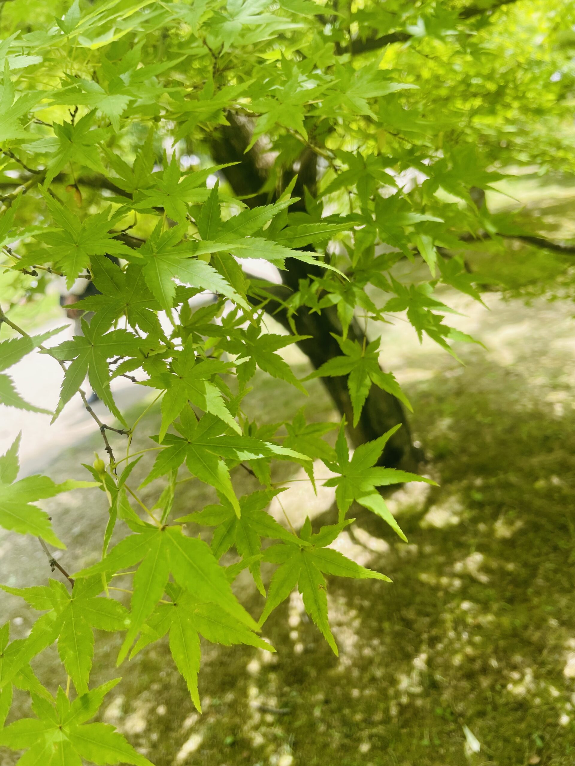 過去に学び、未来に繋げる