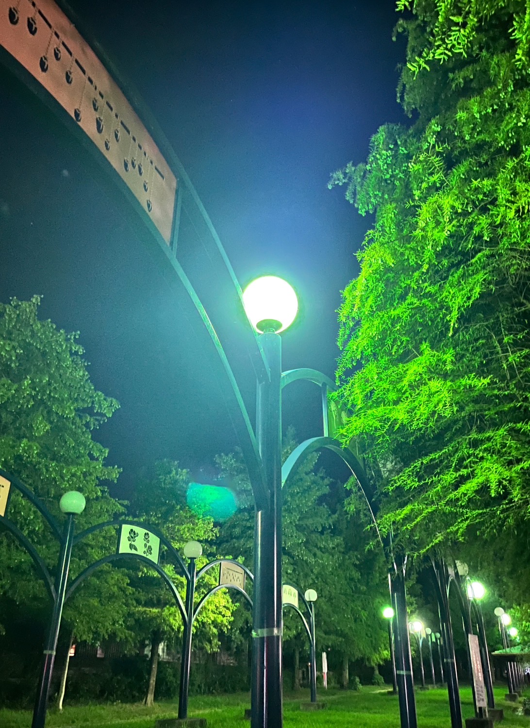 ウォーキング中の風景